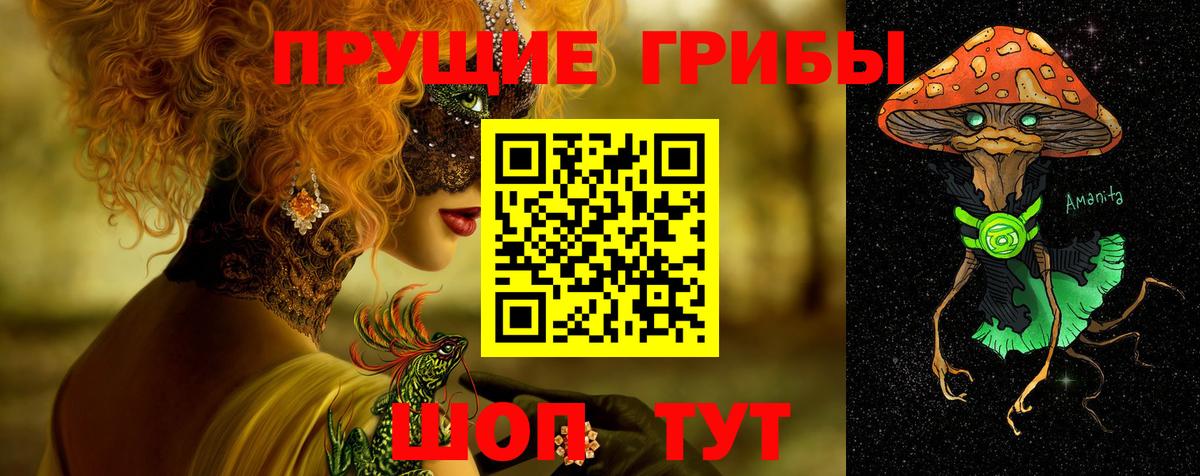 Псилоцибиновые грибы GOLDEN TEACHER Изобильный